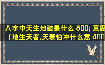 八字中天生地破是什么 🐡 意思（地生天者,天衰怕冲什么意 🐼 思）